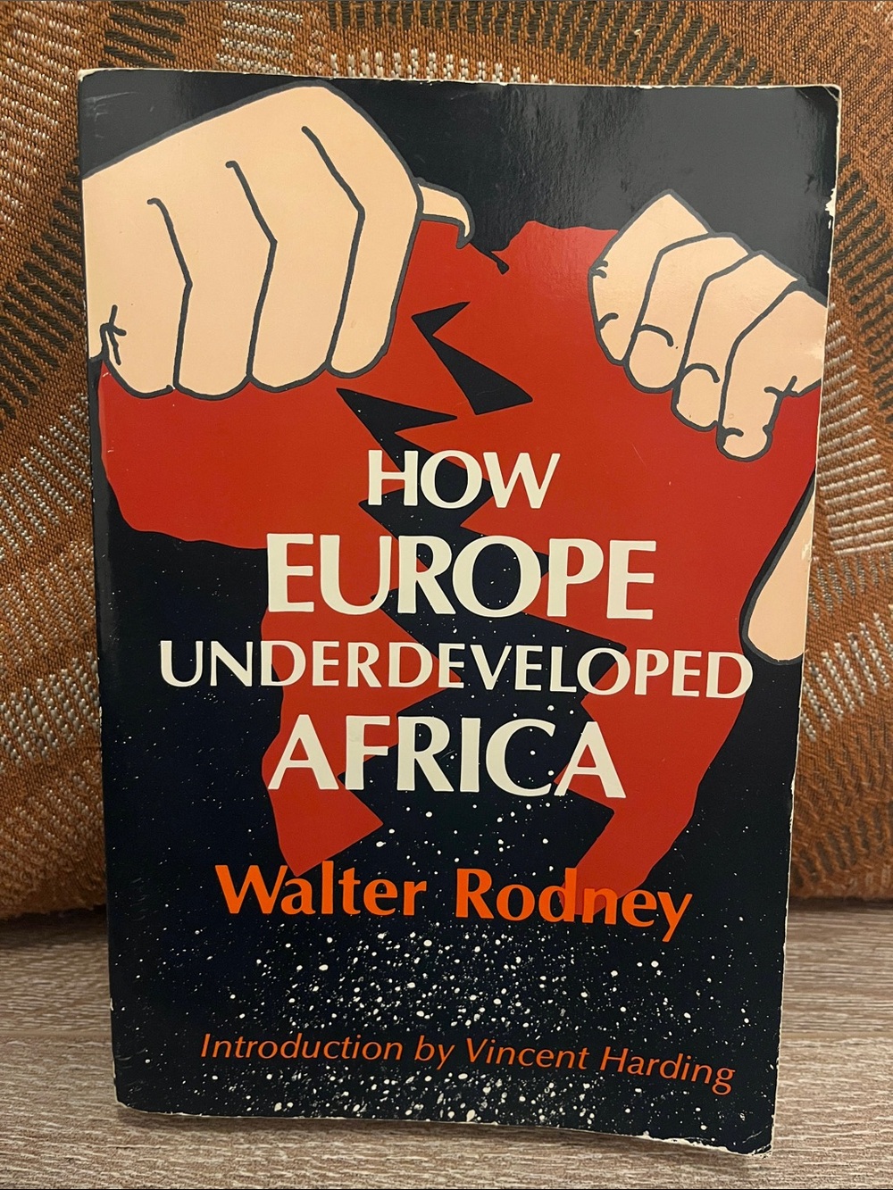 How Europe Underdeveloped Africa by Walter Rodney